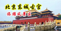 鸡巴操逼扒骚中国北京-东城古宫旅游风景区